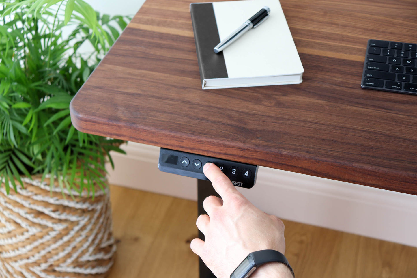 Infinity Collection: Standing Desk, Walnut