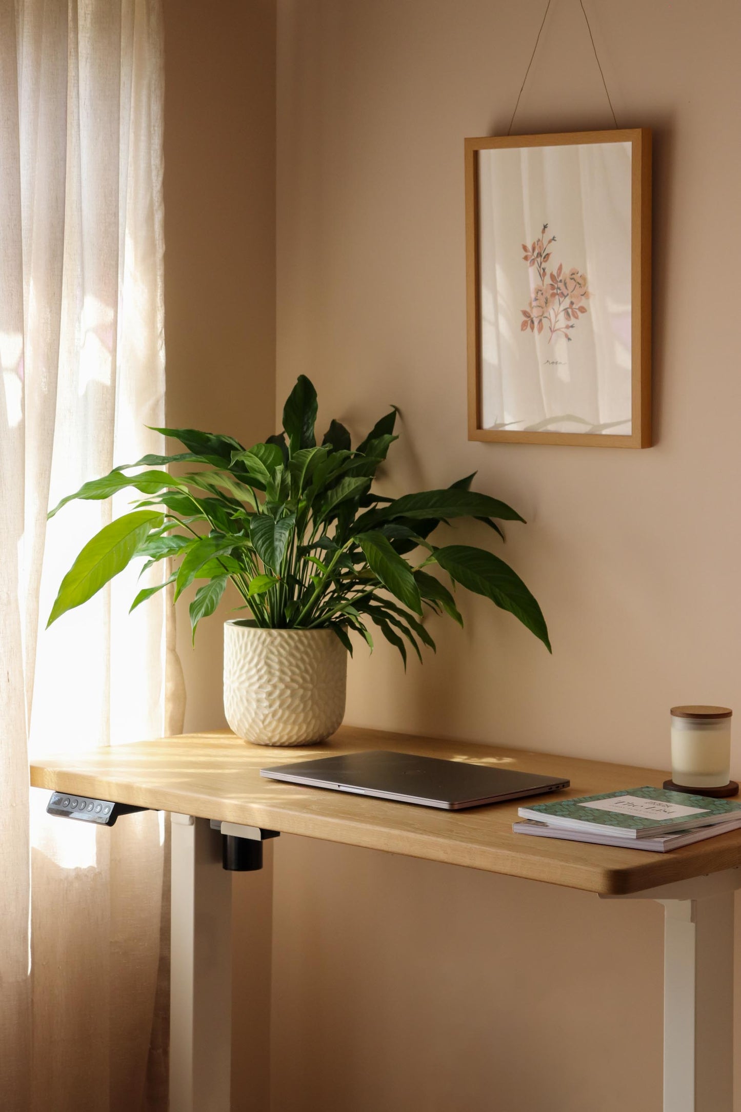 Infinity Collection: Standing Desk, Oak